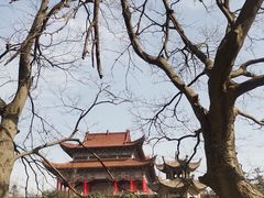 -冶父山国家森林公园