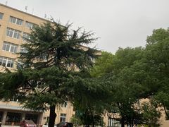 -同济大学(沪西校区)