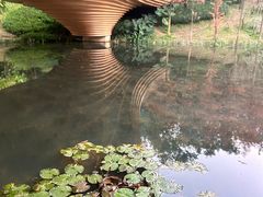-云溪植物园