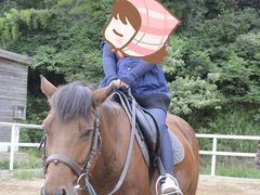 -枫露马术学院(藏书校区)