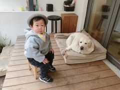 -PAUSE CAFE(南秀村店)
