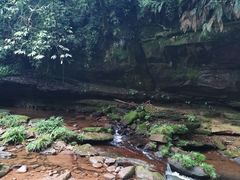 -碧峰峡风景区