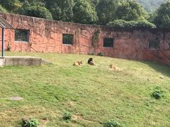 -无锡动物园·太湖欢乐园