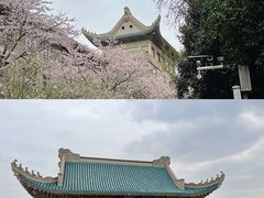-武汉大学-樱园