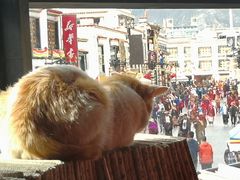 景观位-玛吉阿米·餐吧