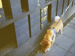 -柯达真美(老重庆中路店)