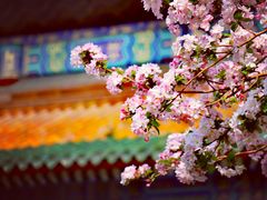 -北海公园