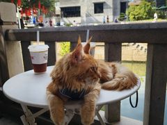 -TOKTOK精酿啤酒·咖啡(荔枝湾店)