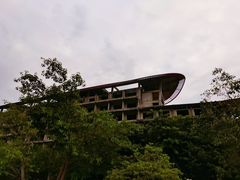 -呀诺达热带雨林