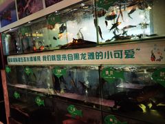 -西苑半岛·中餐厅