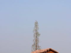 -良渚古城遗址公园