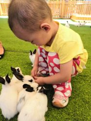 -萌宠亲子动物乐园(槐房万达店)