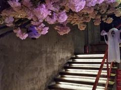 -游园觅食记夜市·小龙虾大排档