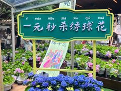 -瑞虹新天地月亮湾