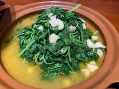 -徽三说·土徽菜·中国徽菜连锁品牌(一中店)