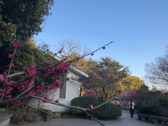 -无锡梅园公园