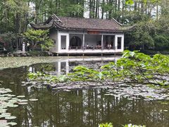 -山外山菜馆(玉泉路店)