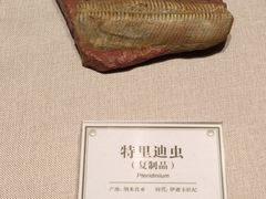 -辽宁古生物博物馆