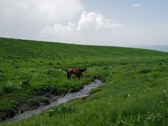 -新疆那拉提国家旅游度假区
