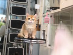 -萌兽医馆·眼科·异宠专科(三里屯店)
