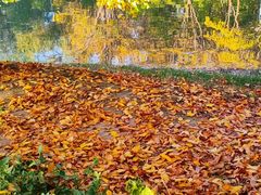 -森林公园(尖草坪区)