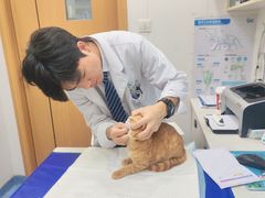 -博特宠物医院24h犬猫全科.骨科·异宠
