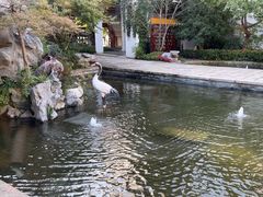 -广富林宰相府酒店·水云间