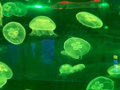 -福州罗源湾海洋世界旅游区