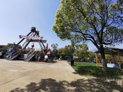 -上海海湾国家森林公园