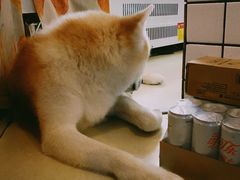 -餐酒吧Com-ing Bar(上海路店)
