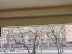 -洞庭家宴·头牌甲鱼(广渠门店)