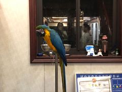 -观桥阁(锦溪店)