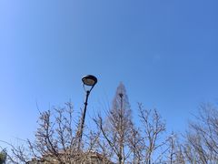 -麦当劳(曲阳店)