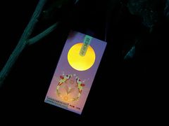 -喜万年年.嫁女饼.顺德特产(华侨城店)