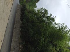 iphone_upload_pic-陕西省红河谷森林公园