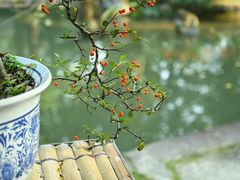 -成都杜甫草堂博物馆