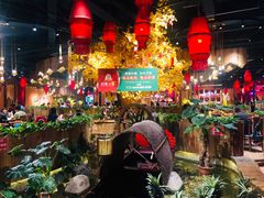 大堂-老滇山寨•云南特色菜•地方菜•民族风情歌舞表演(金碧店)