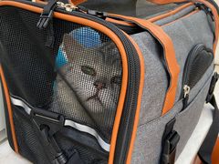 -A猫a狗全科·犬猫异宠·芥西宠物医院(南开总院)
