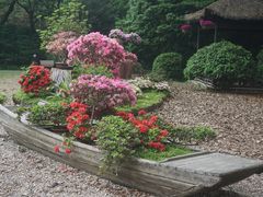 -上海醉白池公园