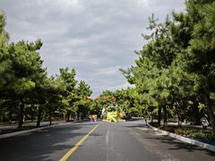 -北陵公园