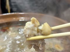 连州果园鸡-威邵鸡煲(西华路总店)