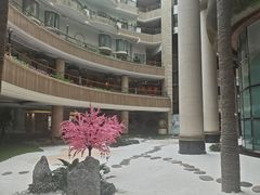 -深圳阳光酒店