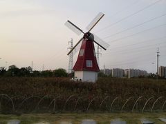 -菊园百果园