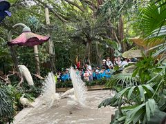 -广州长隆野生动物世界