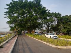 -大湾区中央湿地公园