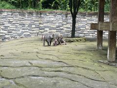-贵州森林野生动物园