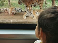 -西安秦岭野生动物园