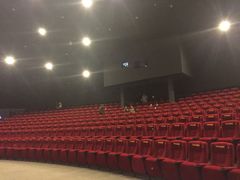 -保利国际影城(保利文化广场店)