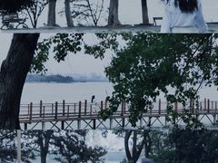 -瑶湖郊野森林公园