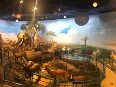 -陕西自然博物馆